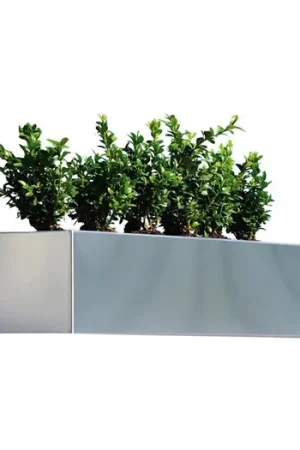 Koop Online Planter