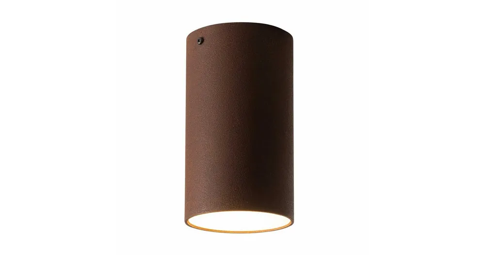 Roest 20 plafondlamp Direct Verzonden