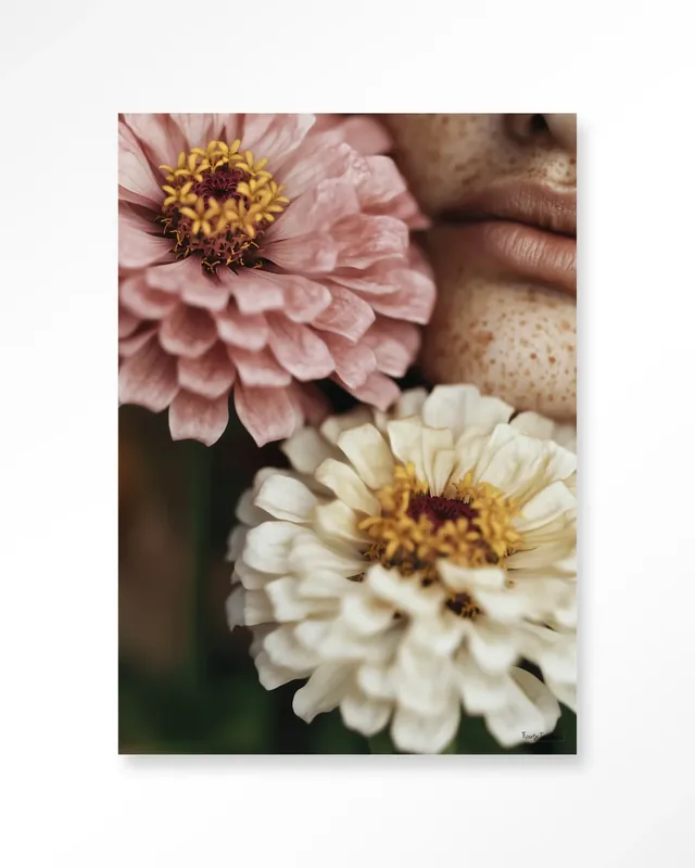 Zinnia – Art Print Koopje