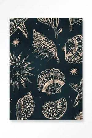 Aanbieding Seashells Midnight – Art Print