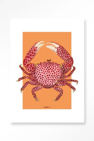 Actieprijs Trapezia – Art Print