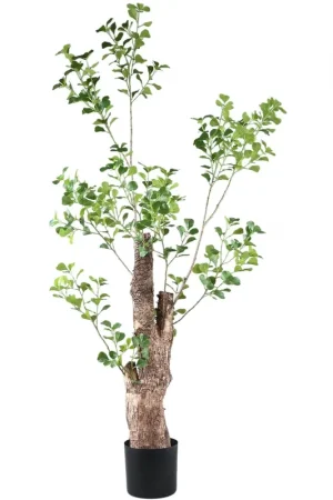 Korting PTMD Kunstplant Groen Triangularis in pot 180cm