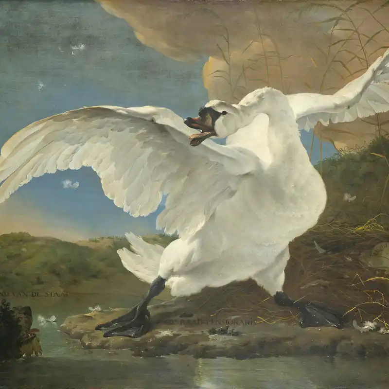 Gecertificeerd Wandkraft The Threatened Swan by Jan Asselijn