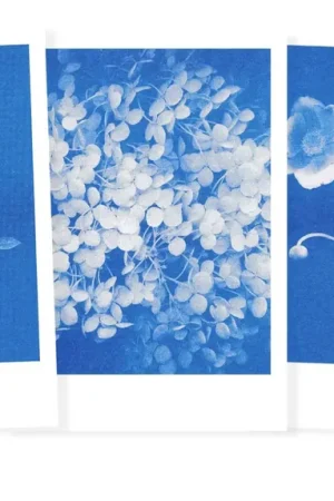 Riso ansichtkaartenset, Bloemen Rechtstreeks Van De Fabrikant