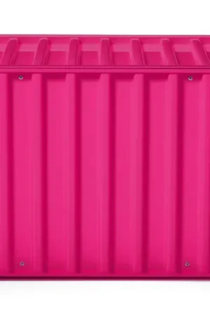 Veilige Betaling Container DS, RAL 4010 Telemagenta