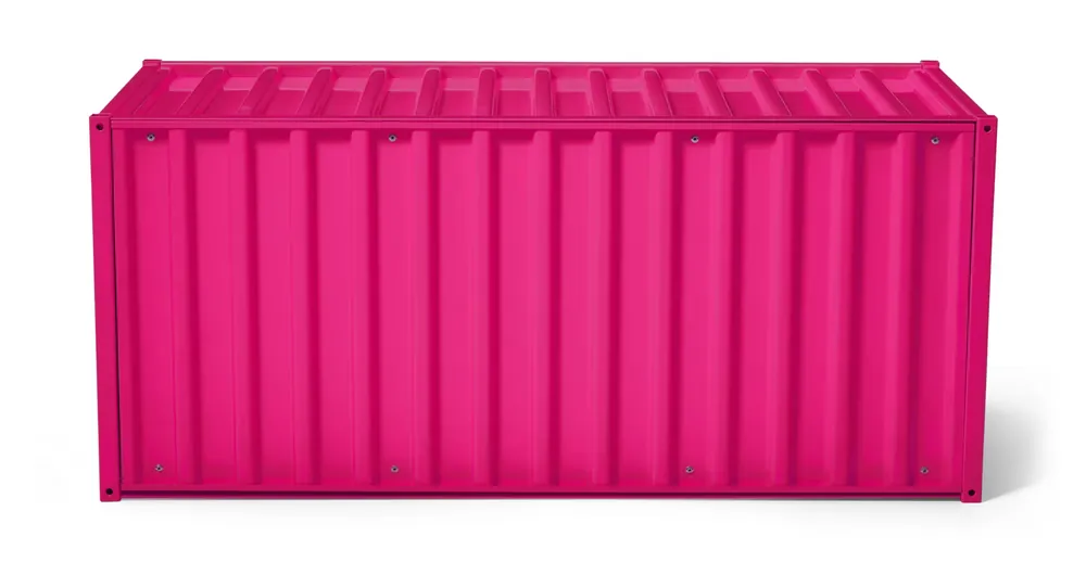 Veilige Betaling Container DS, RAL 4010 Telemagenta
