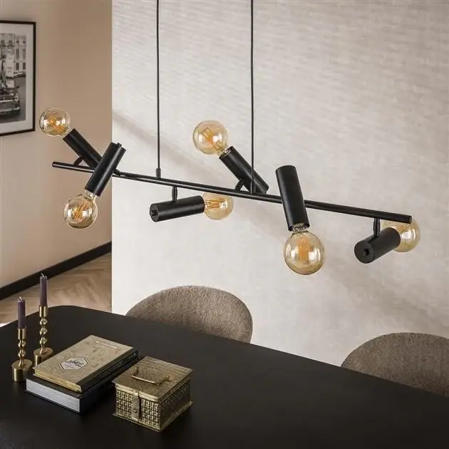 Hanglamp 6-lichts Zwart Metaal Johannes Gecertificeerd